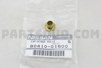 8041001G00 BUSH-FRONT DOOR HINGE
