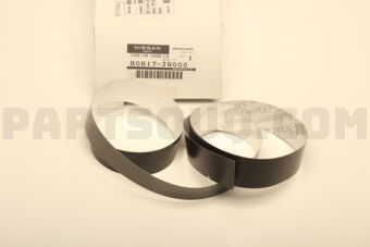 80817JG000 TAPE-FRONT DOOR SASH FRONT,LH