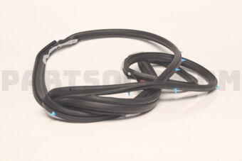 80830CG000 WSTRIP ASSY-FR