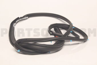 80830CG000 WSTRIP ASSY-FR