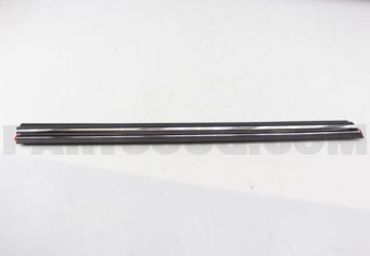 808711CA0A MOULDING-FRONT DOOR,LH