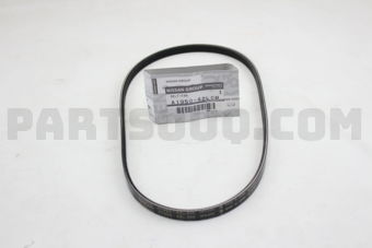 A195042L0M BELT-P/S.O/PUMP