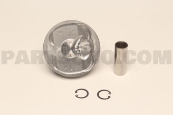 A20101LA0C PISTON,W/PIN
