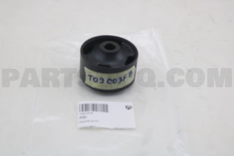 T09C03FB ENGINE BUSH