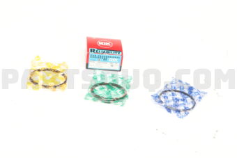 30273STD RIKEN PISTON RING