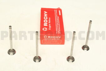 DB230 ENGINE VALVE