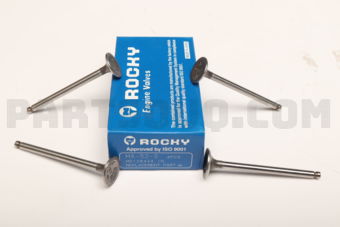 MA520 ENGINE VALVE -IN 4 PC