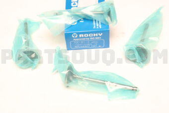 NA810 ENGINE VALVE 4 PCS)