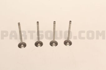 NB870 ENGINE VALVES 4 PCS)