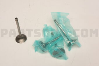 TA870 ROCKY ENGINE VALVE-IN 6PCS)