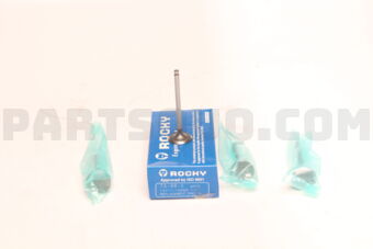 TA880 ENGINE VALVE 4PC