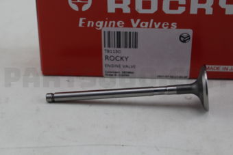 TB1130 ENGINE VALVE