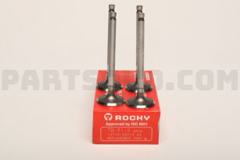 TB510 ENGINE VALVE-EX 4 PCS