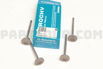ZA440 ENGINE VALVE-IN 4 PCS