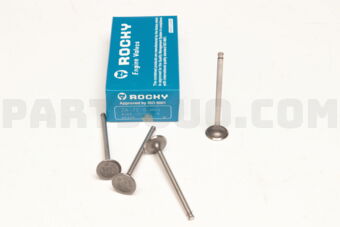 ZA720 ENGINE VALVE-IN 4PCS