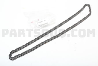 13143AA041 CHAIN-TIMING