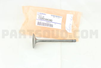 13201AA340 VALVE-INT