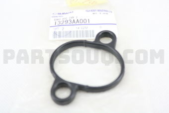 13293AA001 GSKT ROC CVR 2
