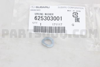 625303001 SPRING WASHER