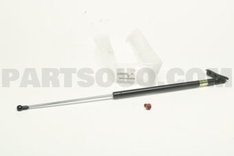 63269XA000 STAY ASSY R G    RH