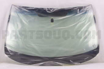 65009SC030 WSHLD GL ASSY