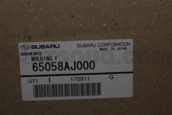 65058AJ000 MOLDING F