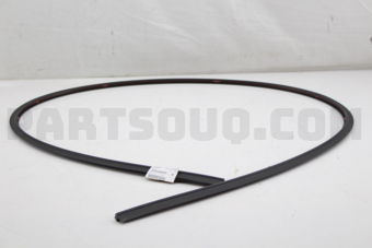 65058SA000 MOLDING F