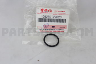 0928022020 O RING