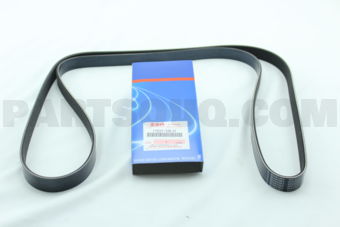 1752154L31 BELT, WATER PUMP