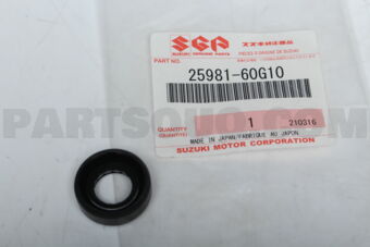 2598160G10 SEAL, MANUAL SHIFT SHAFT