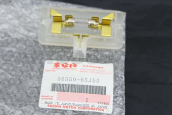 3655065J50 LAMP ASSY, DOOR ILLUMINATION
