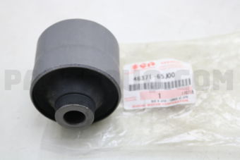 4637165J00 BUSH, RR SPNSN TRAILING ROD