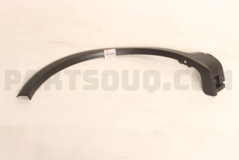 7725054L005PK GUARD,RR SPLASH,R(BLACK)