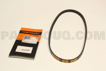 4PK800 RIB BELT