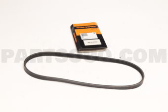 4PK880 RIB BELT