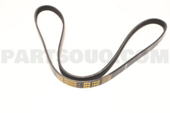 5PK1545 RIB BELT