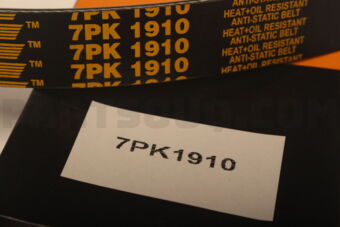 7PK1910 RIB BELT