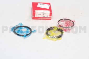 310353FSTD PISTON RING