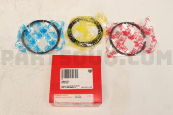 339023FSTD PISTON RING