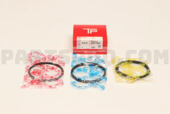 339193FSTD PISTON RING