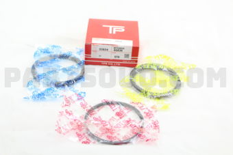 339243FSTD PISTON RING