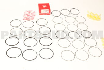 359593FSTD PISTON RING