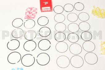 359593FSTD PISTON RING