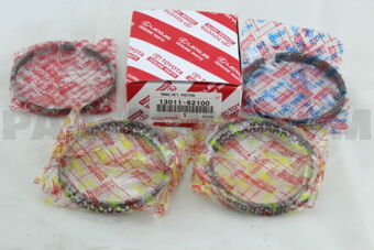 1301162100 RING SET, PISTON