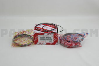 1301164213 RING SET, PISTON
