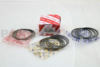 1301166021 RING SET, PISTON