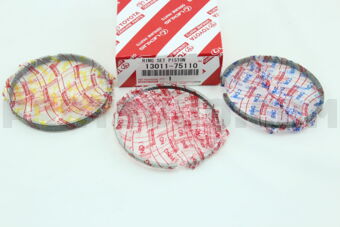 1301175110 RING SET, PISTON