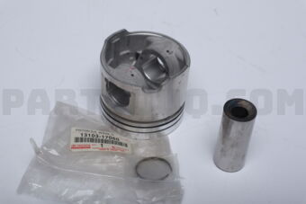 1310317060 PISTON S/A, W/PIN, O