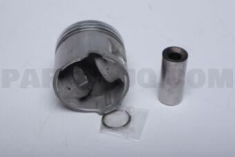 1310317060 PISTON S/A, W/PIN, O