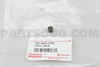 1371675020 CAP, VALVE STEM